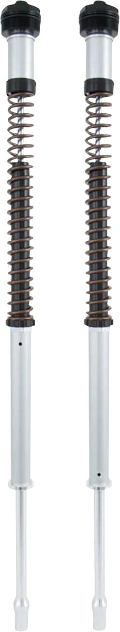 Fork Cartridge Kit