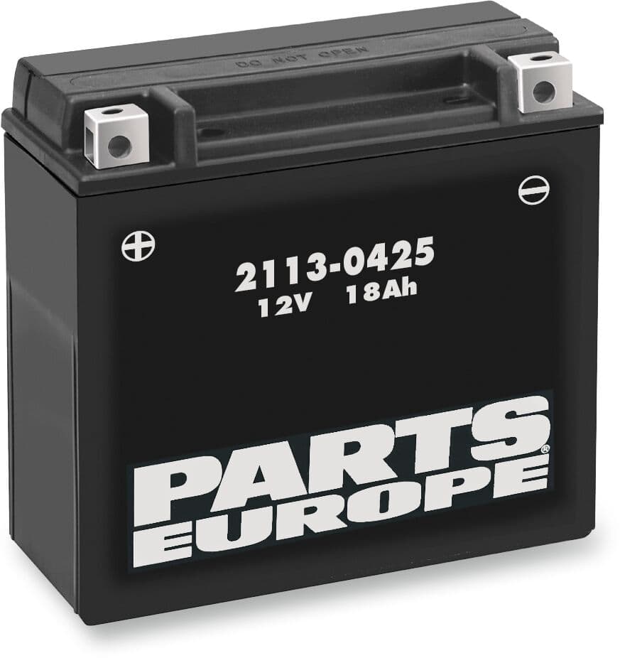 High Performance AGM Maintenance-Free Battery