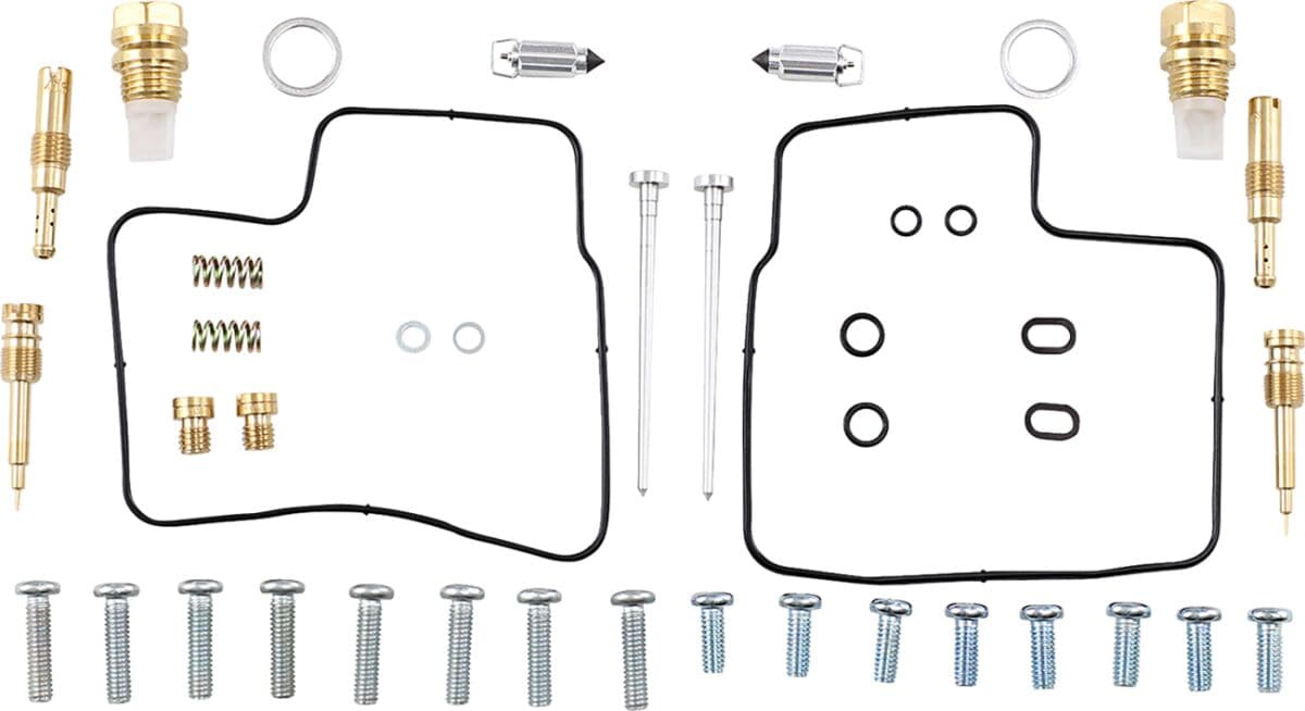 Carburetor Repair Kit