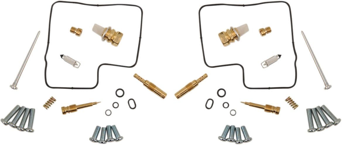 Carburetor Repair Kit