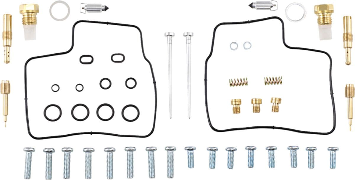 Carburetor Repair Kit