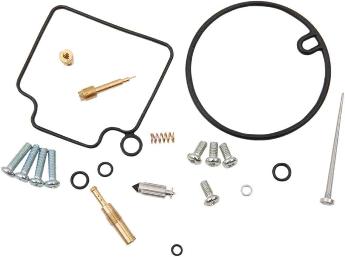 Carburetor Repair Kit