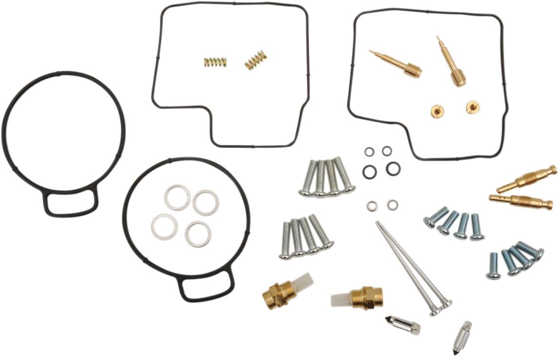 Carburetor Repair Kit