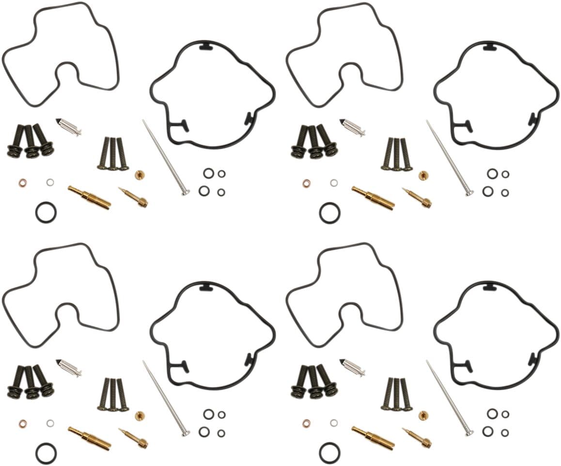 Carburetor Repair Kit