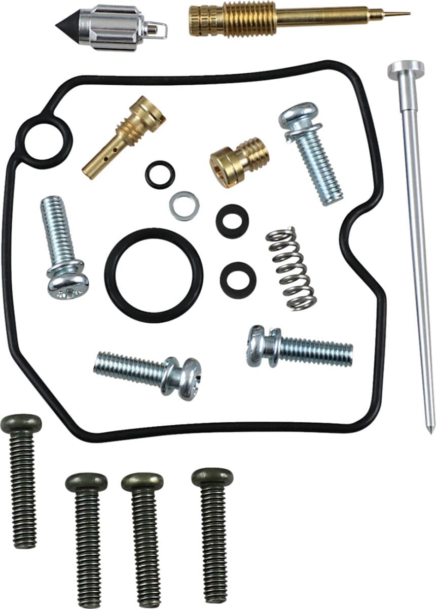 Carburetor Repair Kit