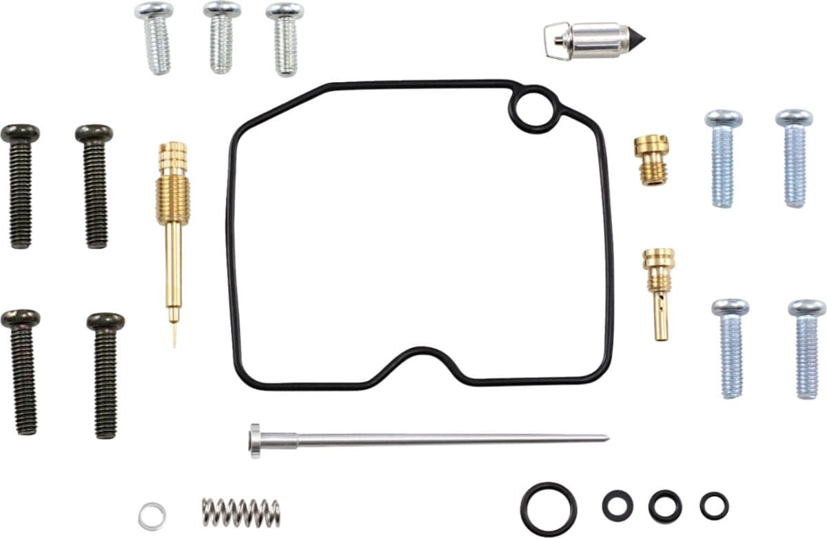 Carburetor Repair Kit
