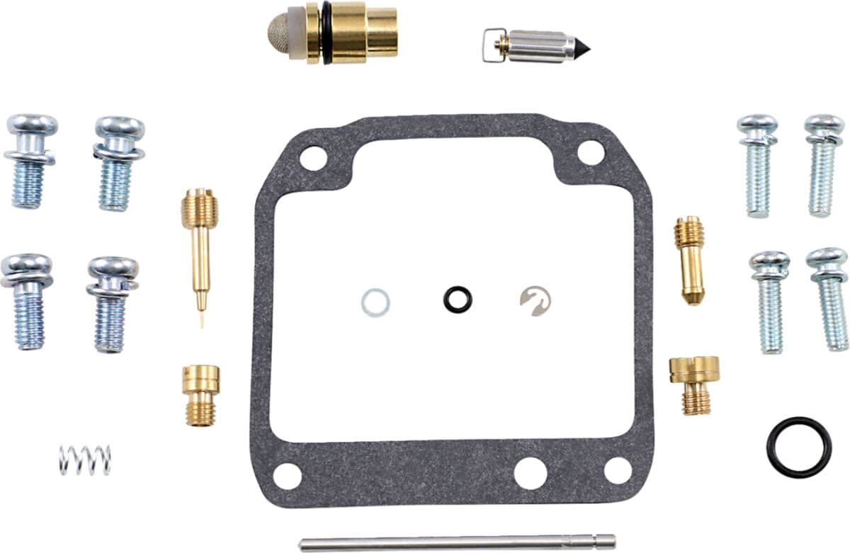 Carburetor Repair Kit