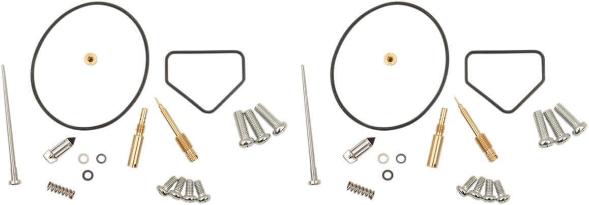 Carburetor Repair Kit