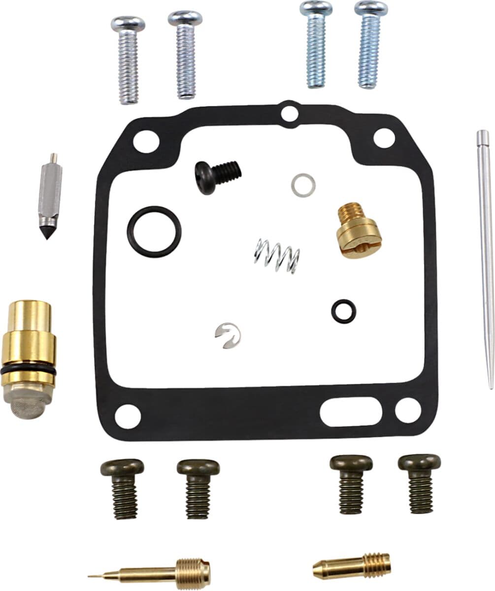 Carburetor Repair Kit