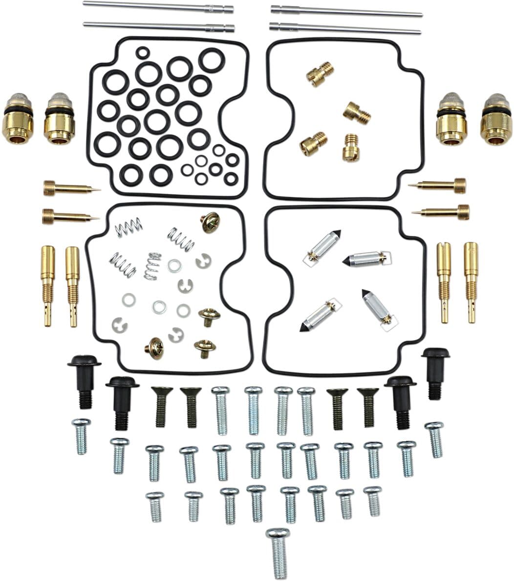 Carburetor Repair Kit