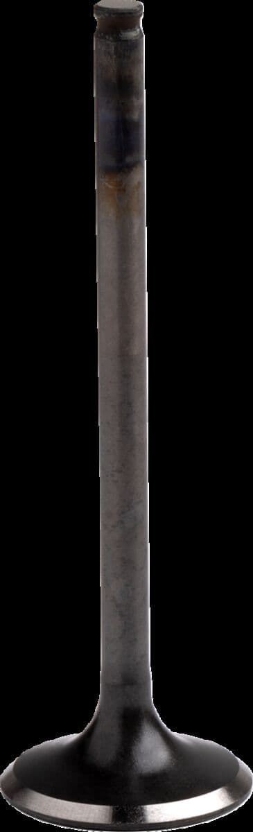 Engine Valve
