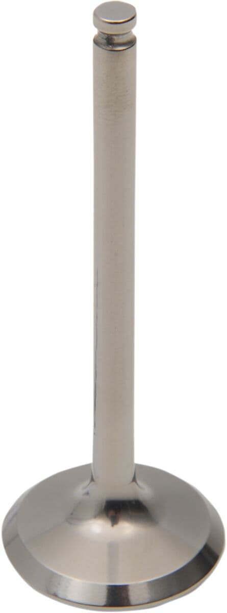 Engine Valve