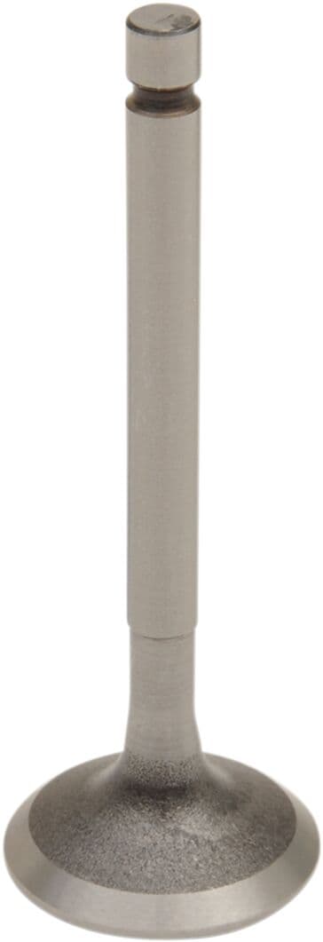 Engine Valve