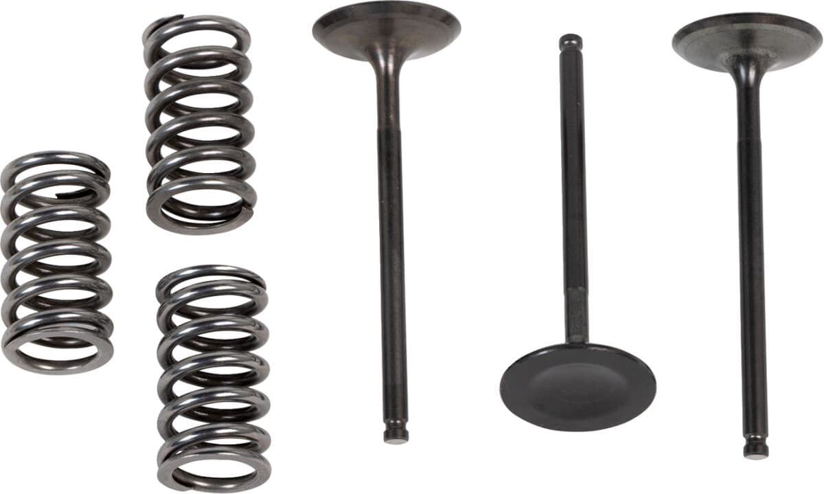 Valve and Spring Kit