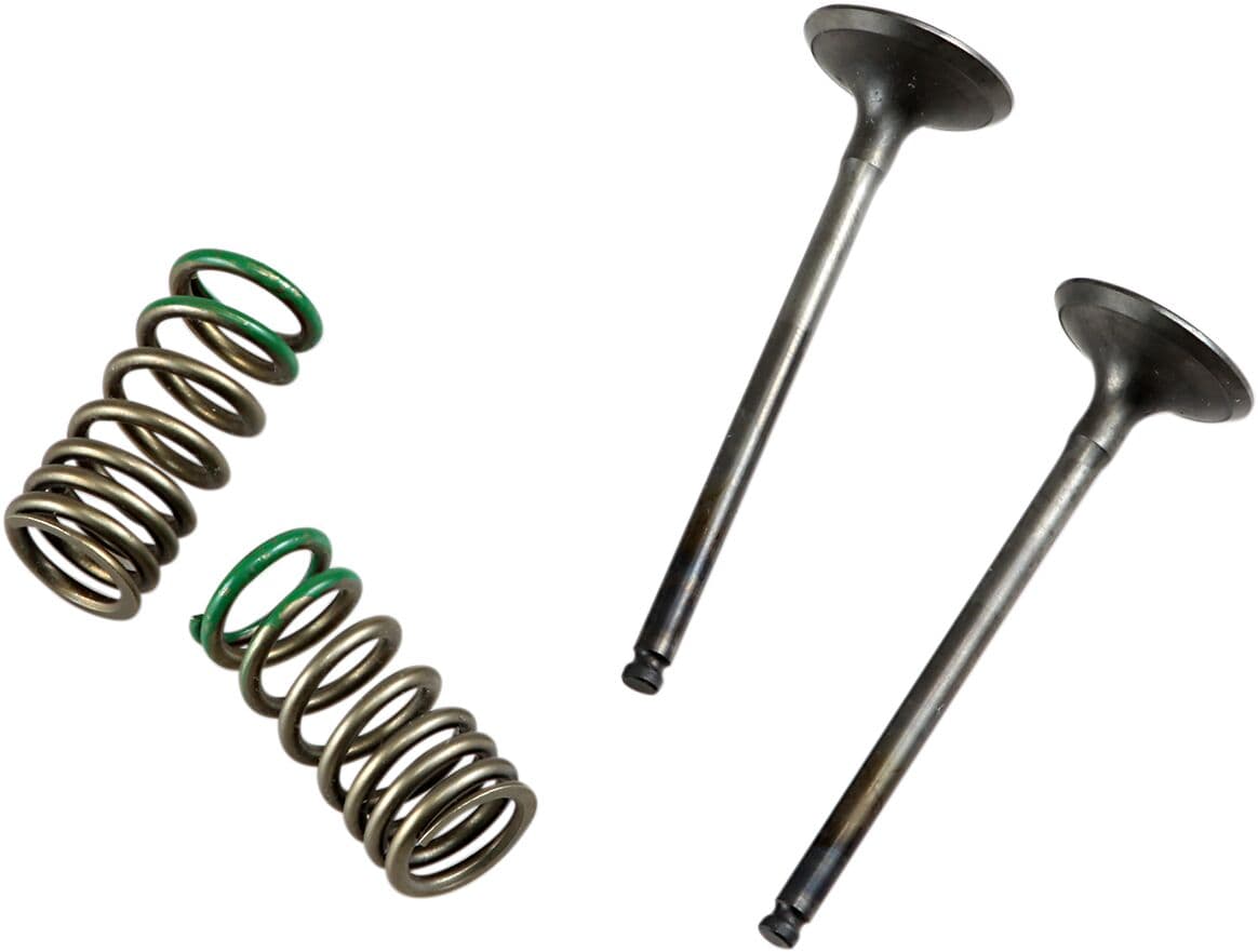 Valve and Spring Kit