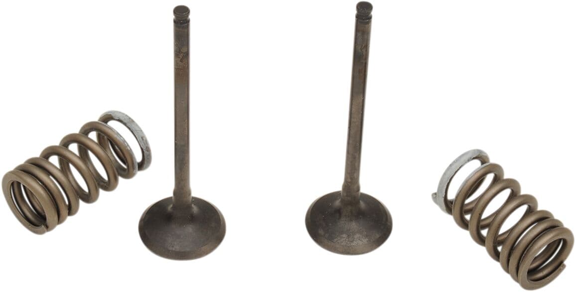 Valve and Spring Kit