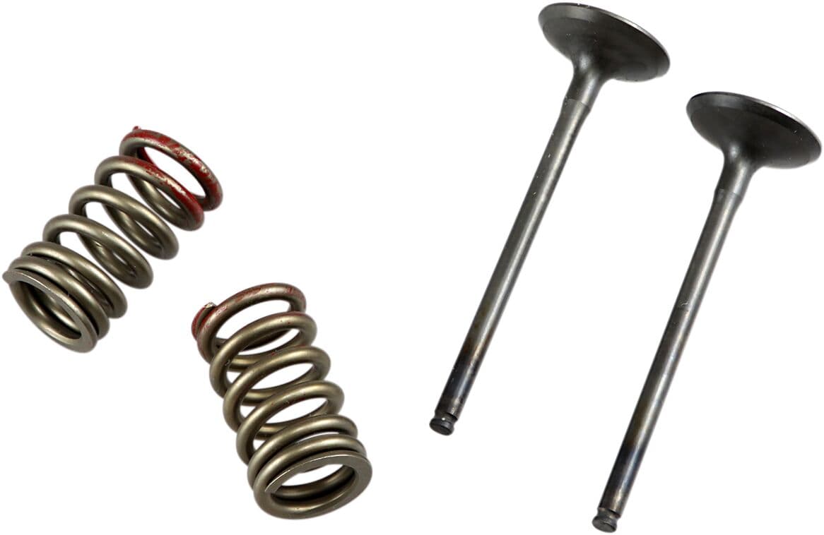 Valve and Spring Kit