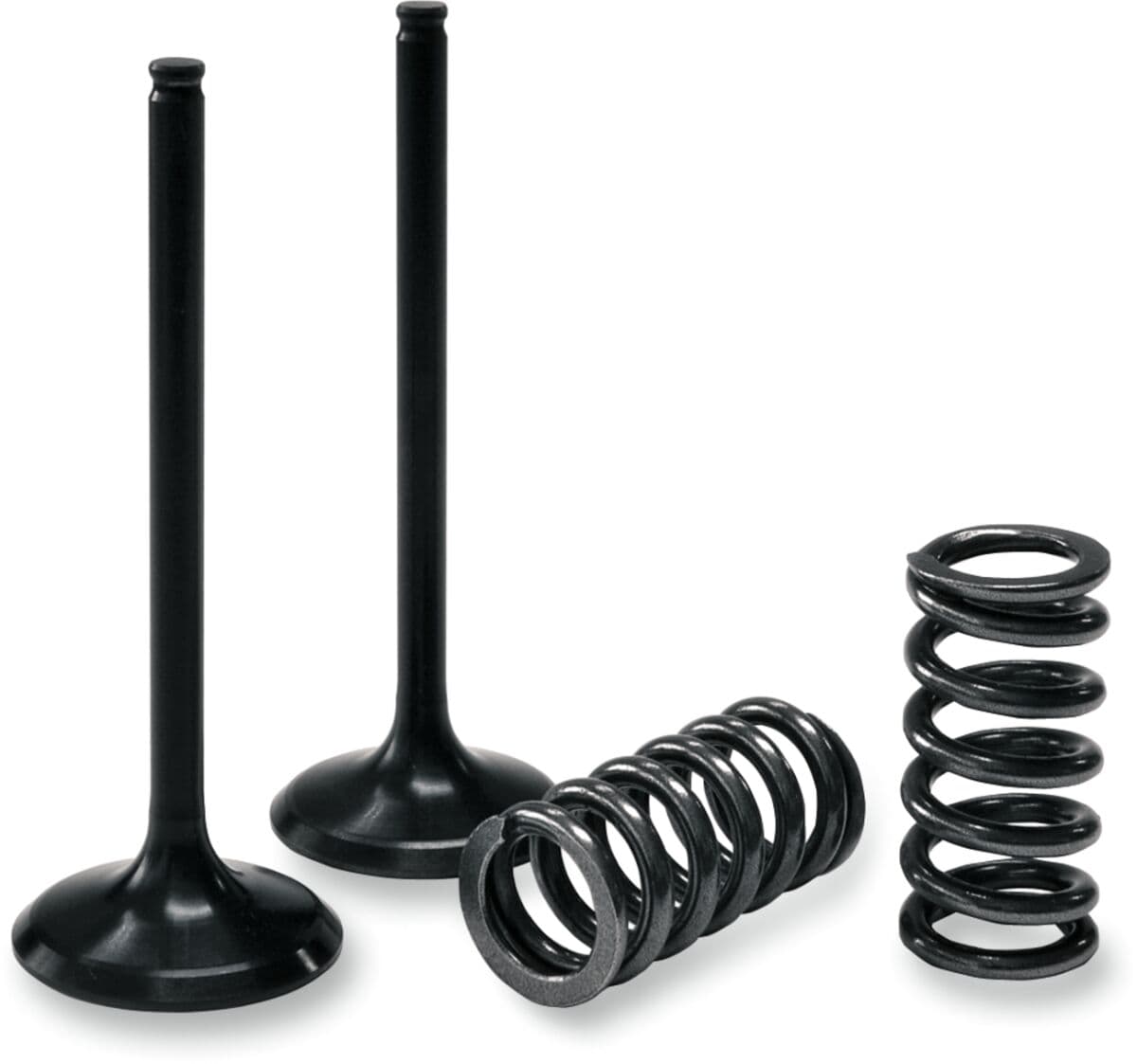 Valve and Spring Kit