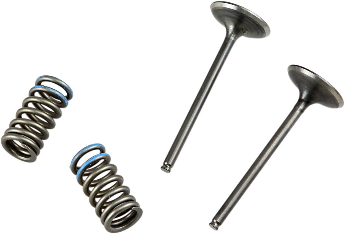 Valve and Spring Kit
