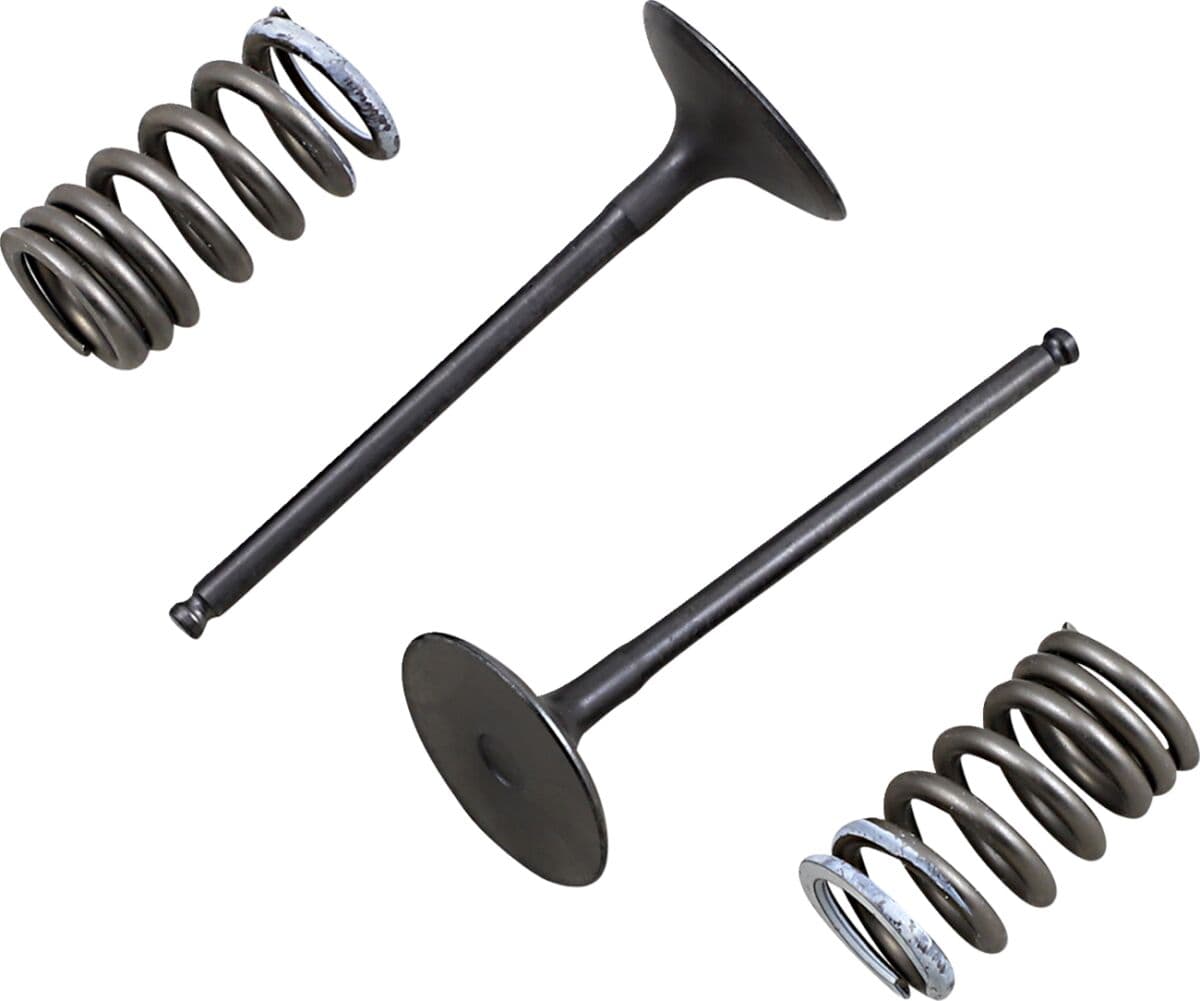 Valve and Spring Kit