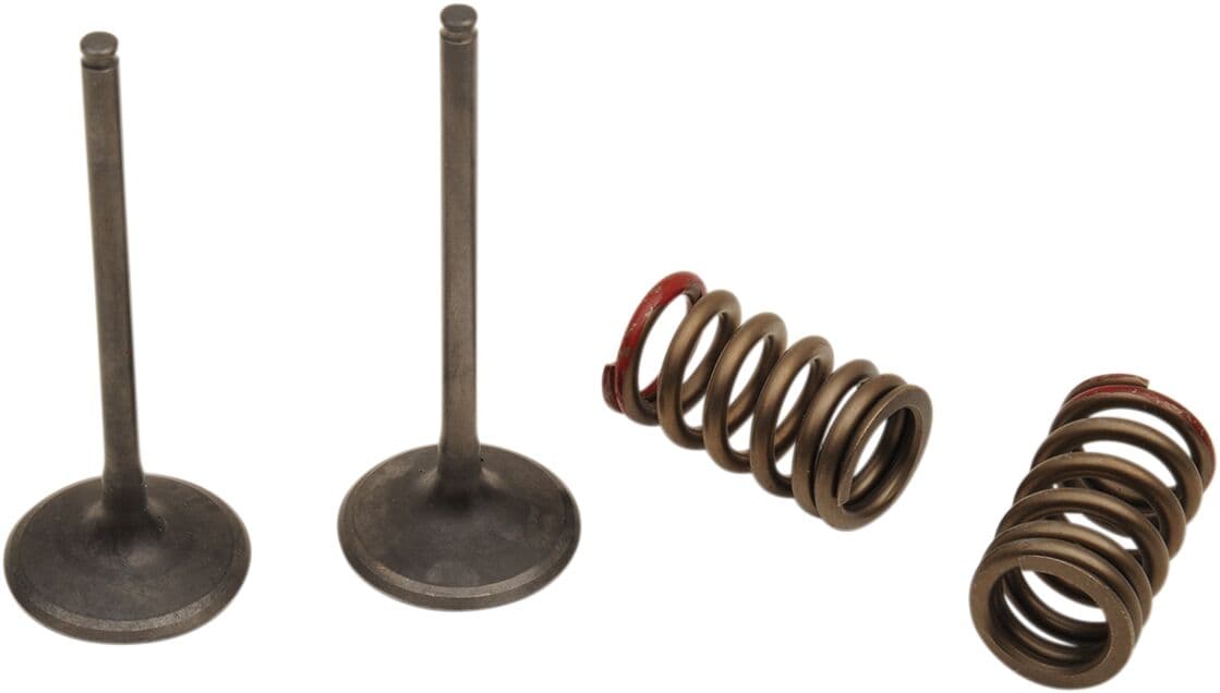 Valve and Spring Kit