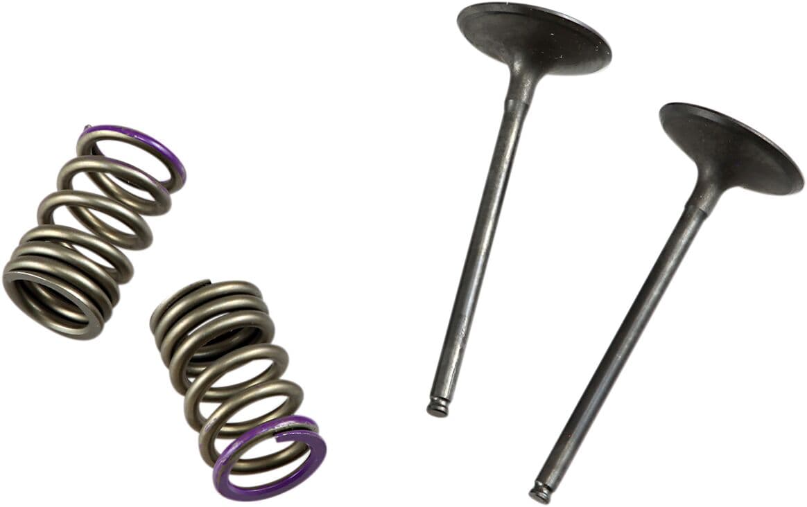 Valve and Spring Kit