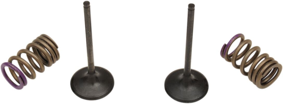 Valve and Spring Kit