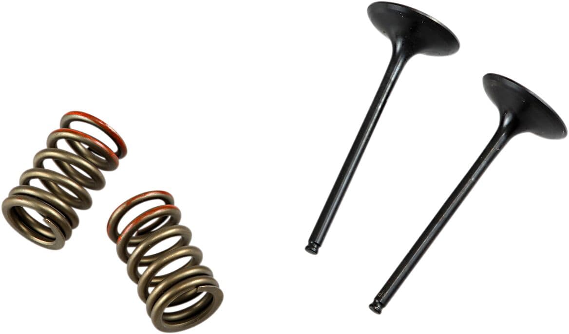 Valve and Spring Kit