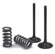 Valve & Spring Kit
