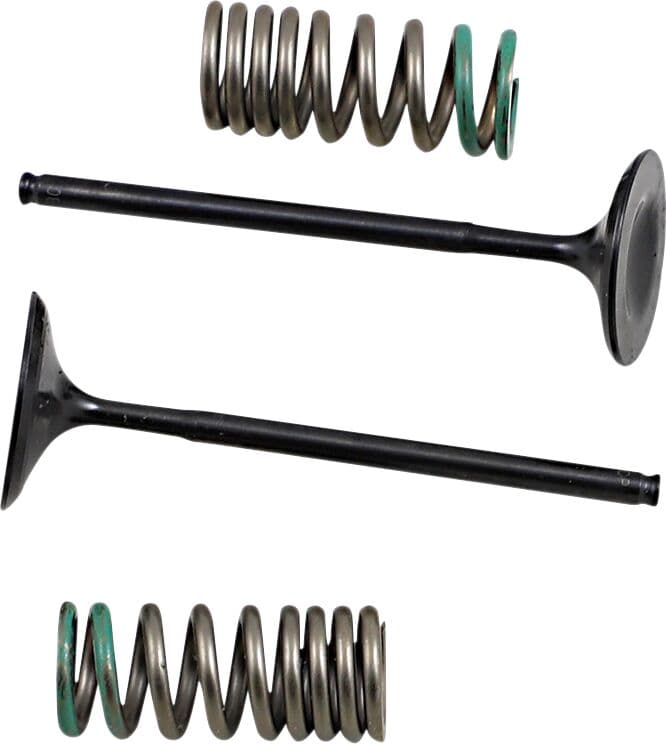 Valve and Spring Kit