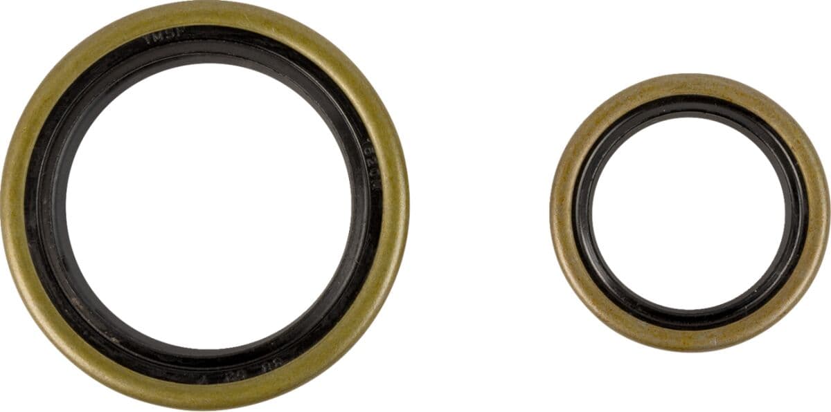 Crankshaft Oil Seal Kit