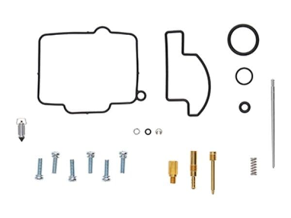 Carburator Rebuild Kit