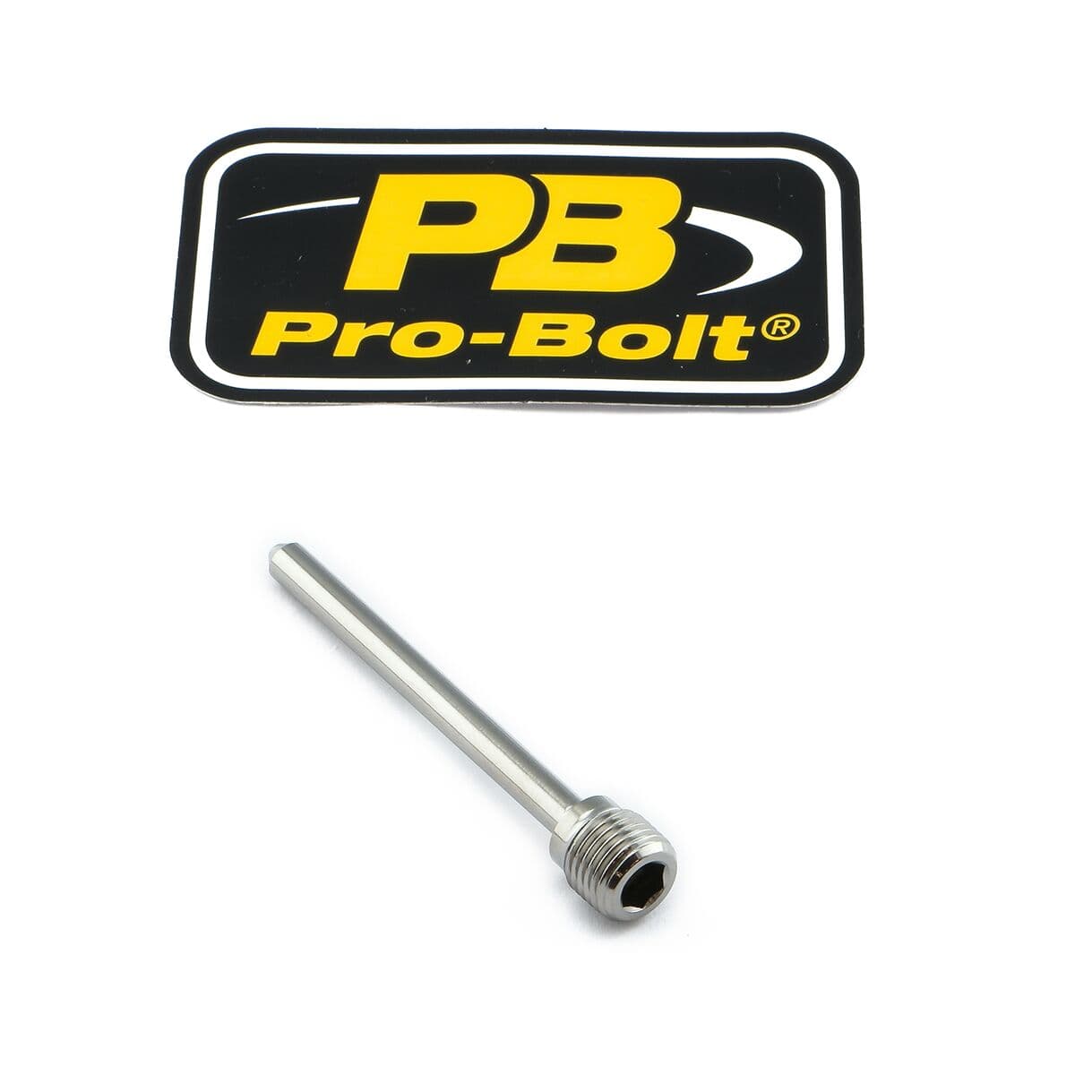 Brake Caliper Pin