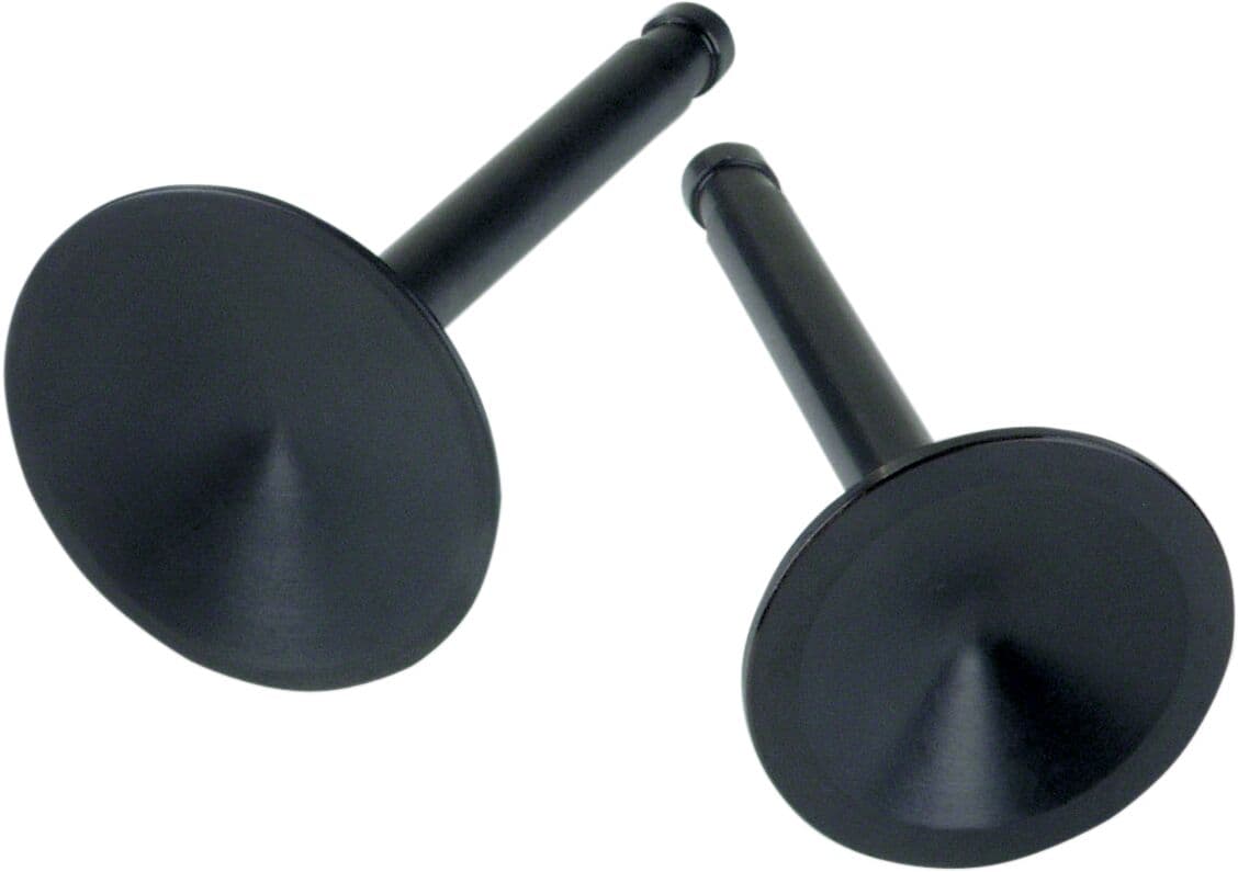 Replacement Valves