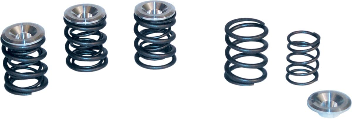 Valve Spring Kit