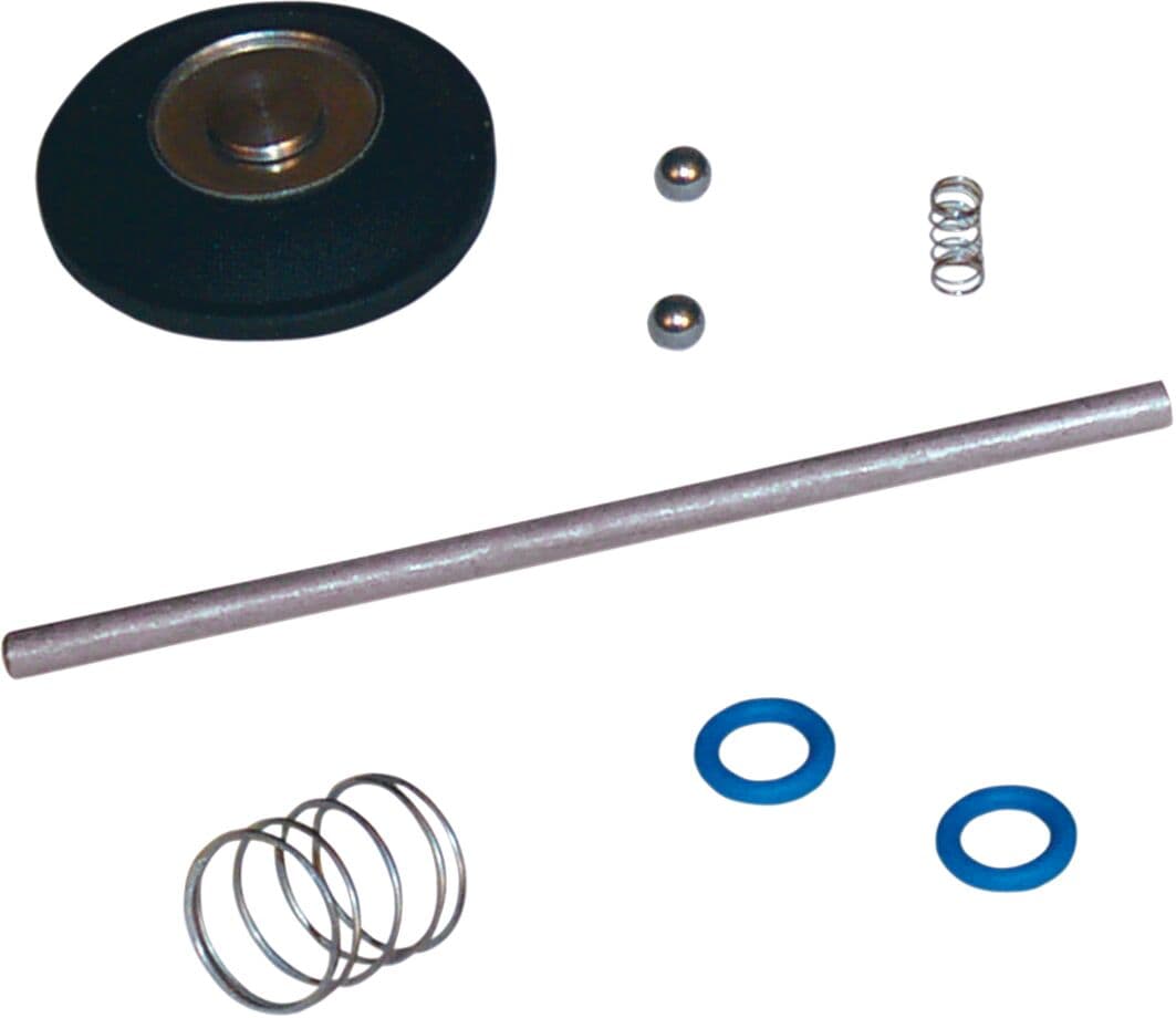 Accelerator Pump Rebuild Kit