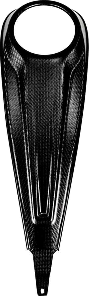 Carbon Fiber Dash Panel For Touring Models