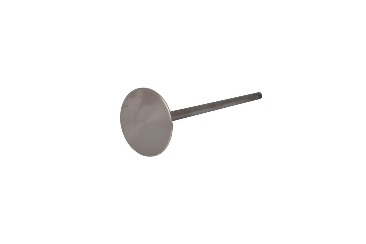 Engine Valve