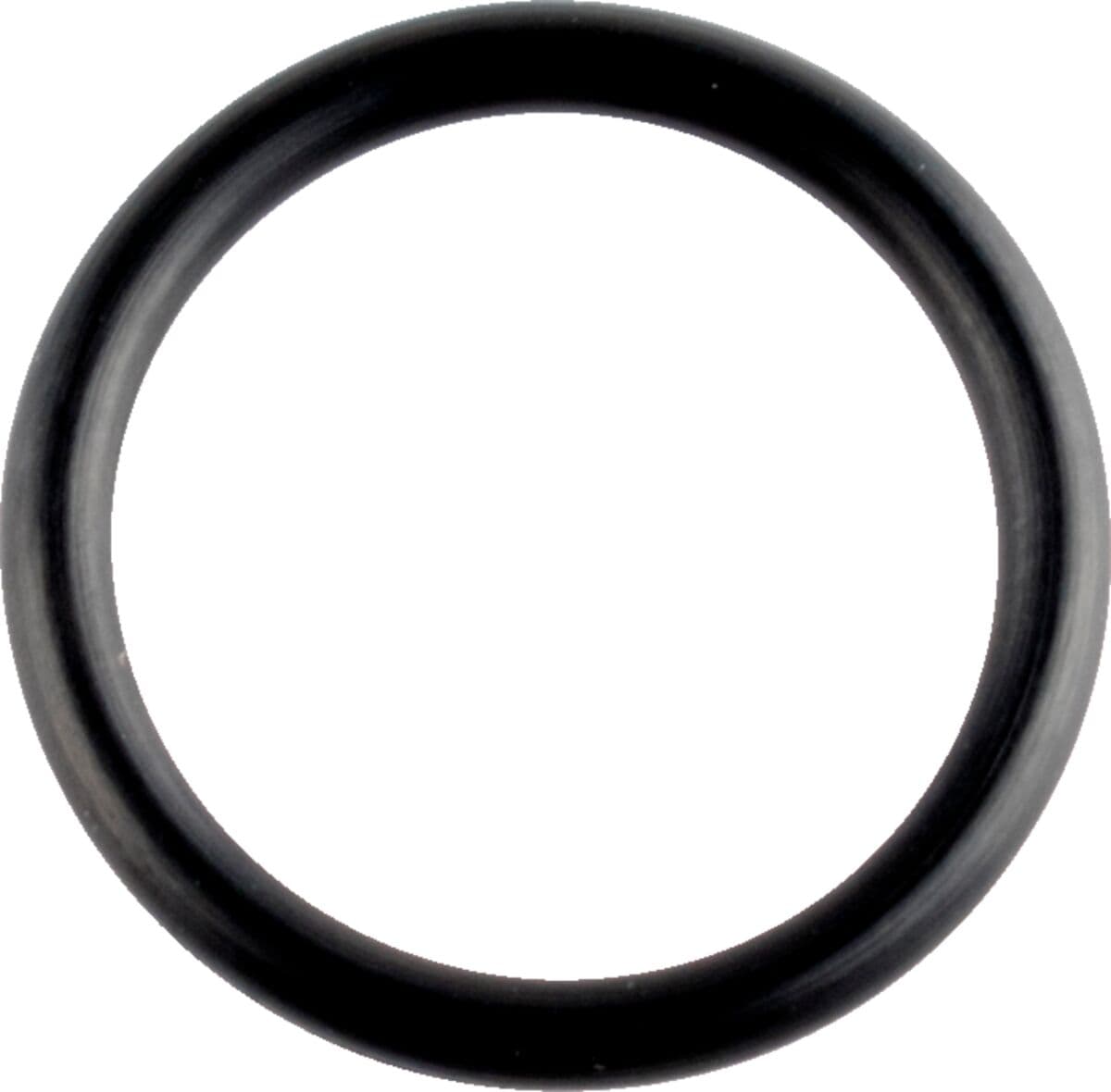 Inel O-ring/Inel V