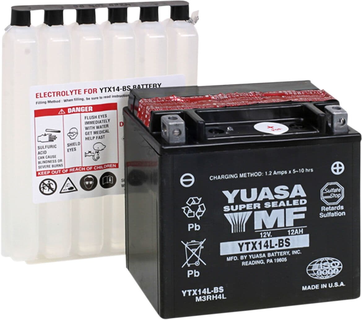 AGM Maintenance-Free Battery