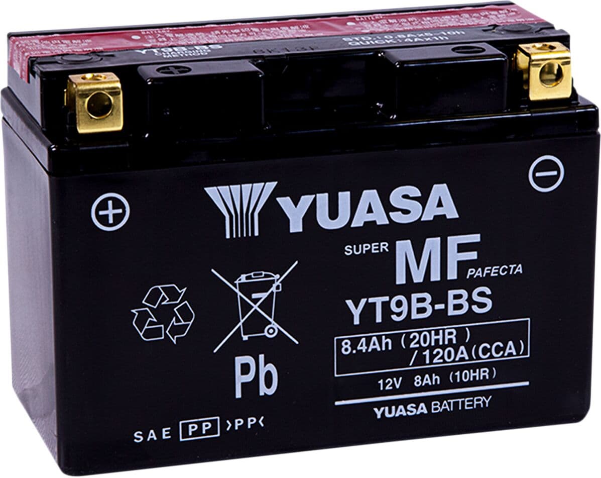 AGM Maintenance-Free Battery