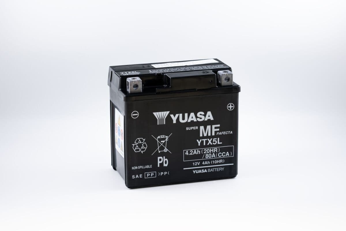 Maintenance-Free Battery