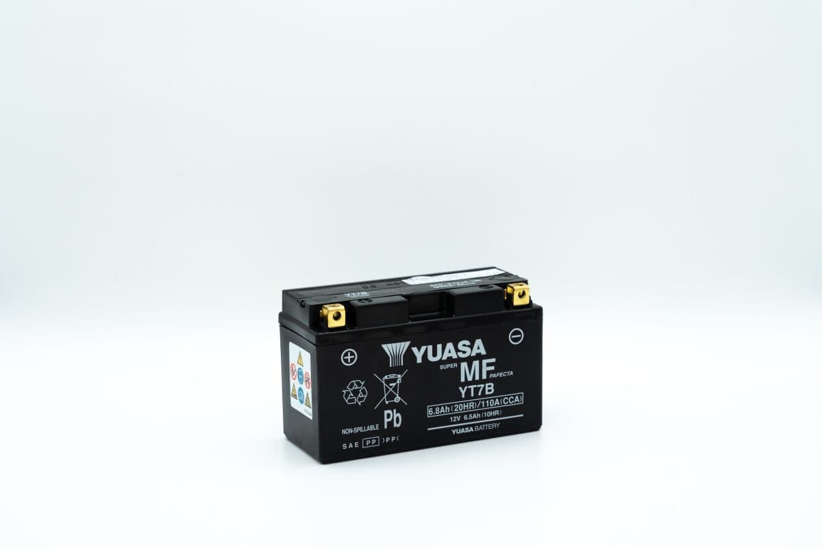 Maintenance-Free Battery