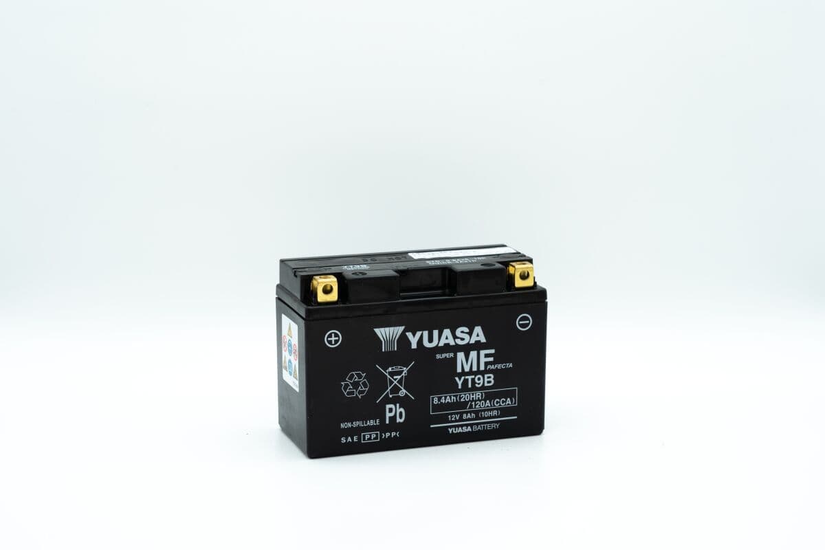 Maintenance-Free Battery