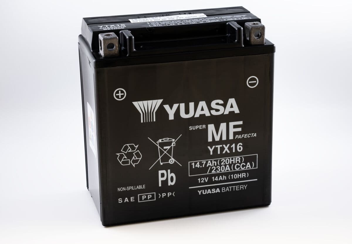 Maintenance-Free Battery
