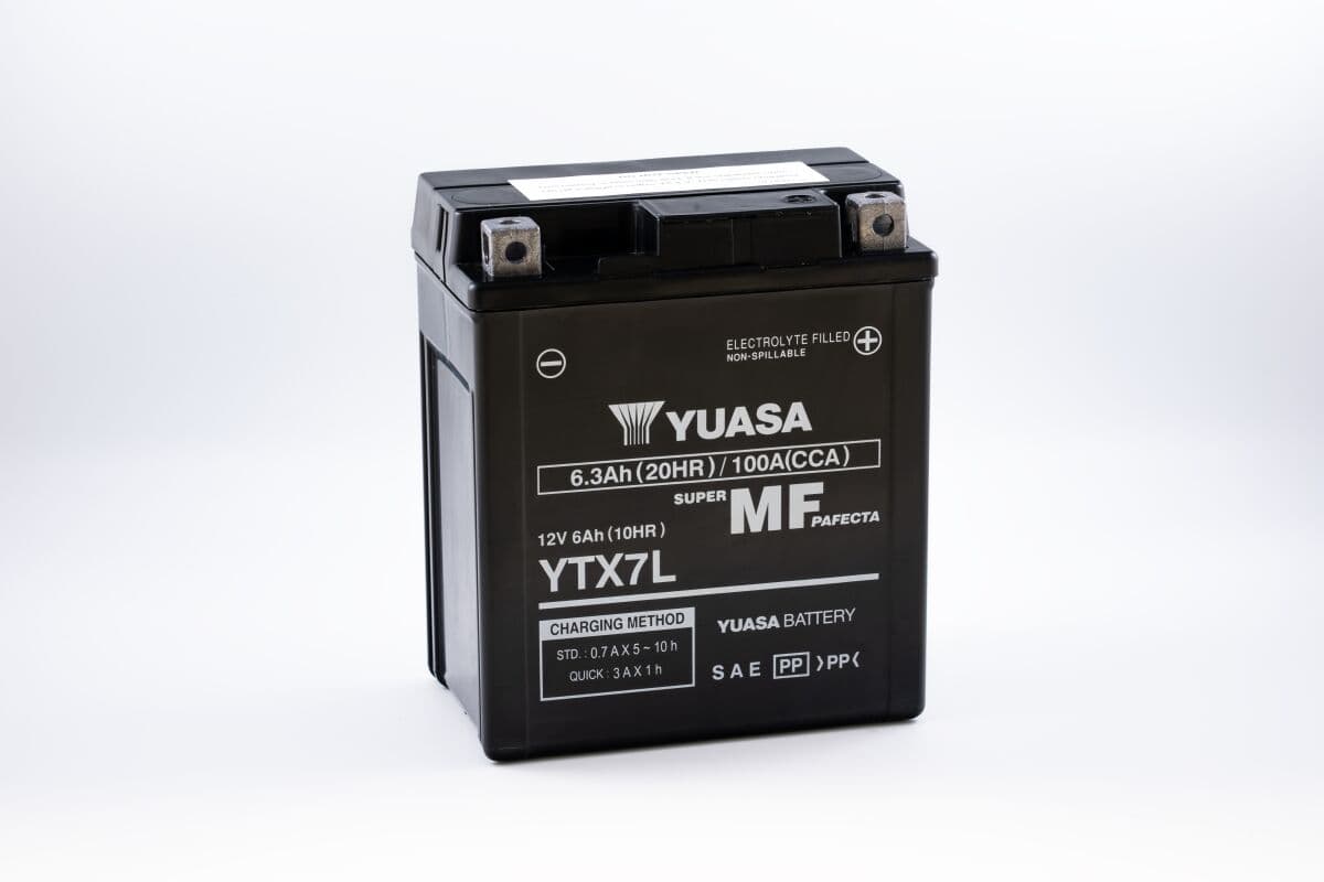 Maintenance-Free Battery