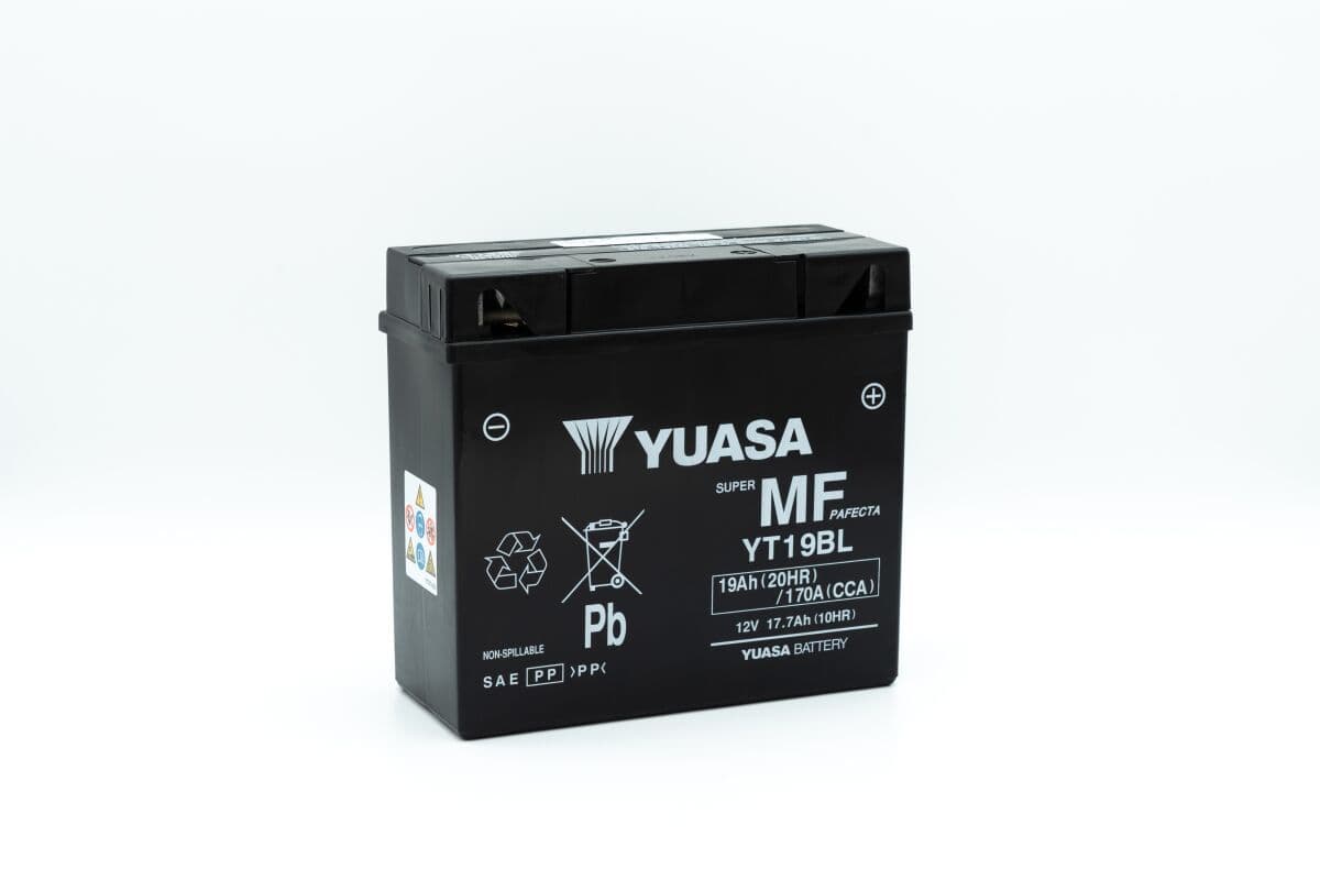 Maintenance-Free Battery