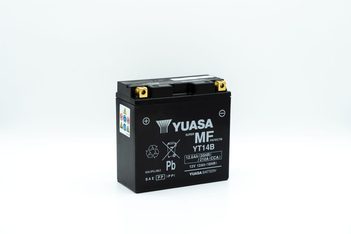 Maintenance-Free Battery