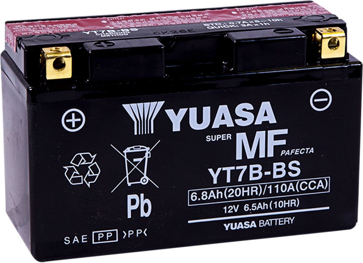 AGM Maintenance-Free Battery