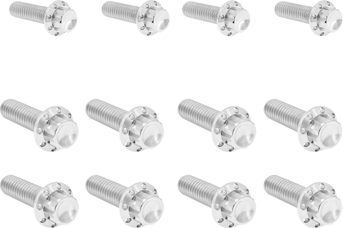 Transmission Side Cover & Trap Door Titanium 12-Point Bolt Kit